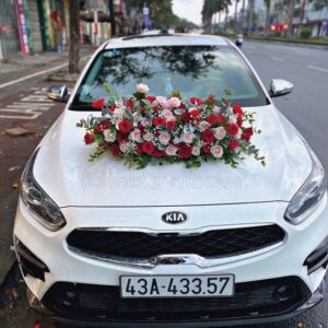 Xe cưới tone hồng dâu, kem-HC28