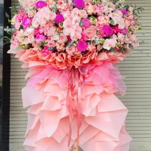 Hoa Khai Trương – Khởi Đầu Rạng Danh - Mã KT169